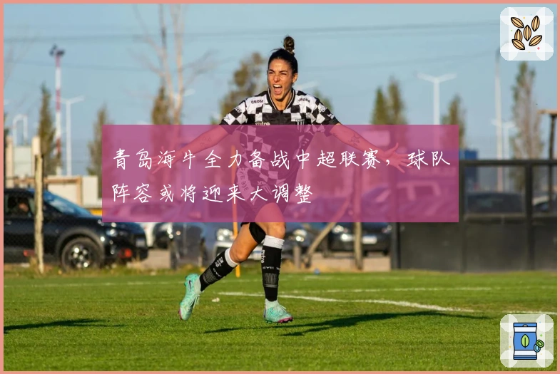 青岛海牛全力备战中超联赛，球队阵容或将迎来大调整