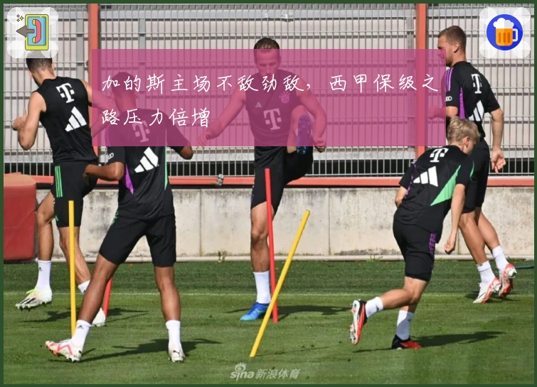 加的斯主场不敌劲敌，西甲保级之路压力倍增