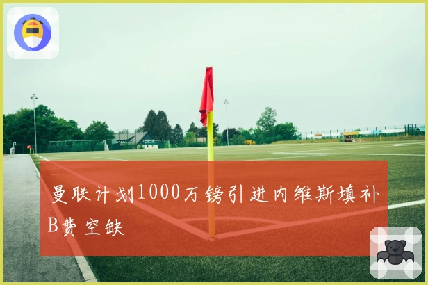 曼联计划1000万镑引进内维斯填补B费空缺