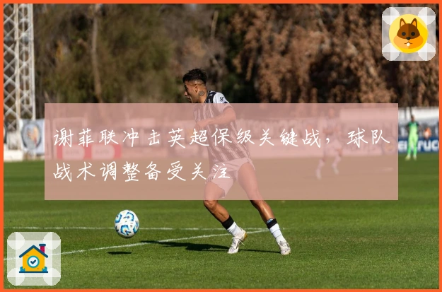 谢菲联冲击英超保级关键战，球队战术调整备受关注